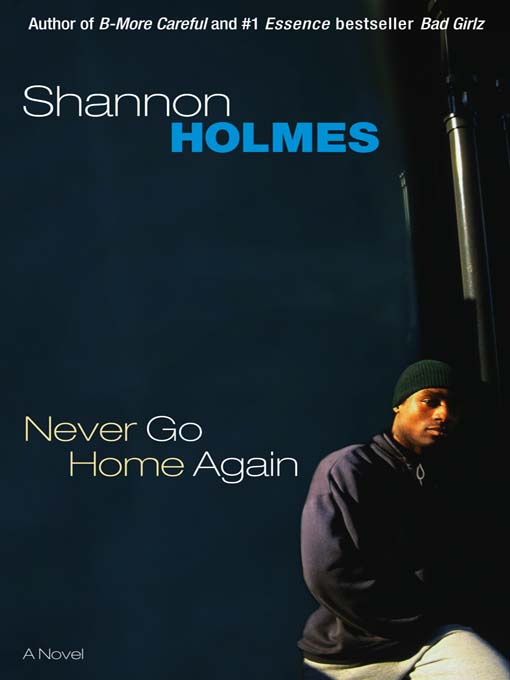 Title details for Never Go Home Again by Shannon Holmes - Available